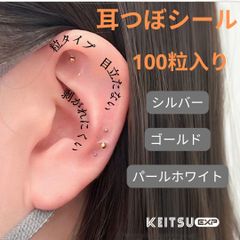 耳ツボシール 100粒（5シートセット）ダイエット ストレス 美容　【新品・未使用】