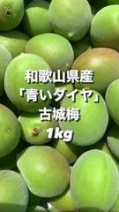 2025年最新】古城梅 シロップの人気アイテム - メルカリ 2025年最新】古城梅 シロップの人気アイテム - メルカリ