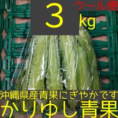 沖縄県産 うりずん豆（琉球四角豆）約３kg 【クール便】①