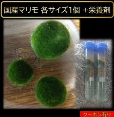 2025年最新】まりも お土産の人気アイテム - メルカリ