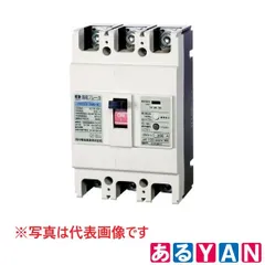 (新品 未使用) 河村電器産業 漏電ブレーカ ZR 223-125-30 主幹・一般用 ZR型 4571293546804