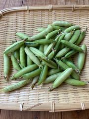 朝採れ　うすい豆　300g