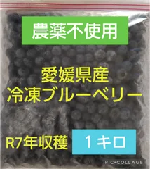 ブルーベリー　600g 常温メルカリ便発送 ブルーベリー 600g 常温メルカリ便発送 食品