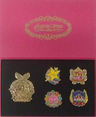 [중고] 배지 핀즈 5주년 로고 & 교장 5주년 기념 핀 배지 5개 세트 [아이카츠! 시리즈 AIKATSU!STYLE for Lady]