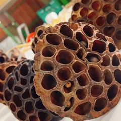 ハス　ドライフラワー　10本入り茎つき