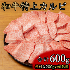 和牛特上カルビ（三角バラ）600g（200g×3袋）個包装 冷凍 プロの味