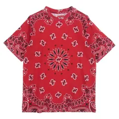 シュプリーム　バンダナ　ボックス　ロゴ　Tee S SUPREME(シュプリーム) 19AW Bandana box logo tee バンダナ