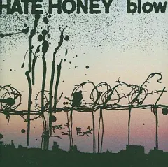 HATE HONEY 完売間近！！ sale 50% off ] THE HATE HONEY 