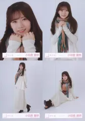 【中古】生写真(乃木坂46) ◇小田倉麗奈/櫻坂46ランダム生写真【マフラーコーデ】 4種コンプリートセット