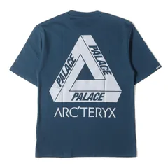 2024年最新】palace arc'teryx tシャツの人気アイテム - メルカリ