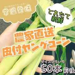 【予約】新鮮！おいしい！皮付きヤングコーン 50本以上【5月中旬~下旬発送/常温】