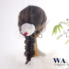 髪飾り 髪飾りセット 成人式 振袖 結婚式 ブライダル ヘッドドレス 卒業式 七五三 前撮り 赤 レッド ゴールド 胡蝶蘭 水引 タッセル ドライフラワー K-142