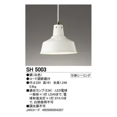 2022年最新】odelic led 蛍光灯の人気アイテム - メルカリ