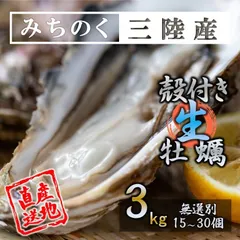生食OK 三陸産 殻付き 生牡蠣 3kg 希少 数量限定 新鮮 宮城 石巻 鉄分 ミネラル豊富 希少 カキ バーベキュー 貝 魚介類 かき 贈答 パーティ 刺身 焼く 蒸す 揚げ 漬け カキフライ 鍋 栄養 海の幸 贈り物 牡蠣 母の日 父の日のサムネイル