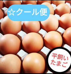 平飼い卵　MSサイズ10個入り2パック+6個　国産　新鮮　クール便