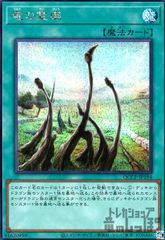 竜の霊廟(シークレット)(QCCP-JP194)