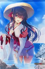 2025年最新】戦国恋姫 竹中の人気アイテム - メルカリ