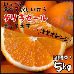 清見オレンジ　５kg  ゲリラセール