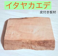 イタヤカエデ材 虎杢無垢材 鳥眼杢 皮付き板材料 素材 木材その他 カエデ材 波状杢 根杢 皮付き板 20×188×210  1枚