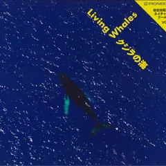 LASERDISC Documentary 岩合光昭のネイチャーワールドvol.1-クジラの海 PILW1042 PIONEER /00600