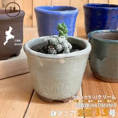 HATIMANIA 鉢マニア  ウチョウラン クリーム 3.5号 鉢づくし 盆栽鉢 観葉植物 サボテン 多肉植物 ミニ盆栽 Sサイズ 三重県 国内ブランド ハチマニア 陶器 ミニ植物 ミニプランター 鉢植え 穴開き コンパクト 区分60Y CR513-3-5のサムネイル