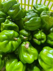 【訳あり】神楽南蛮 1kg