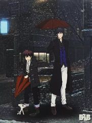 [중고] 원화 일러스트 보드 혈계 전선 & BEYOND B3 & B 캔버스 아트 패널 (레오나르도 & 스티븐)