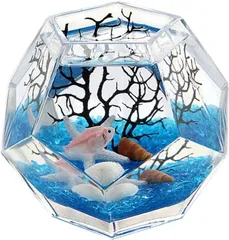 No167）めだかの館オリジナルめだか鉢