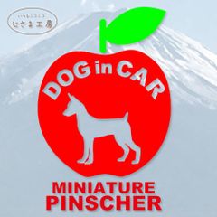 ミニチュアピンシャーのドッグインカー‼︎アップルのステッカーです。