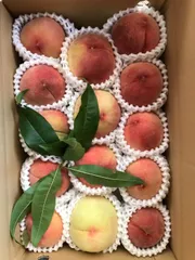 むかしばなしの桃。セール！訳あり品。4キロ箱にめいっぱい。クール便での発送です。のサムネイル