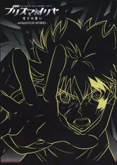 プリズマ⭐︎イリヤ　原画集 2025年最新】プリズマ イリヤ 原画の人気アイテム - メルカリ