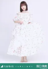 【中古】生写真(乃木坂46) 阪口珠美/全身/「人は夢を二度見る」WebShop 限定ランダム生写真