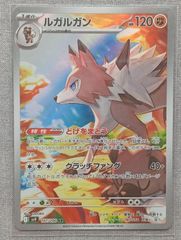 台湾 プロモ 2024新春ピカチュウ＆ポケモンセンター台北ポケモン