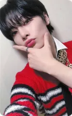 【中古】コレクションカード(男性) Stray Kids/I.N(アイエン)/CD「Social Path (feat. LiSA) / Super Bowl -Japanese ver.-」Stray Kids 5-STAR Dome Tour 2023会場