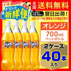 ファンタオレンジ 700ml 20本入 x 2ケース計40本/141970C2