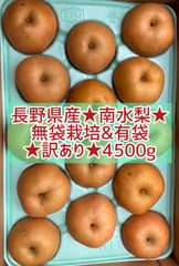 長野県産★南水梨★無袋栽培★訳あり★4500g