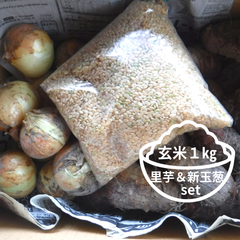 玄米＋里芋＋新玉葱 各１㎏セット 福岡県産