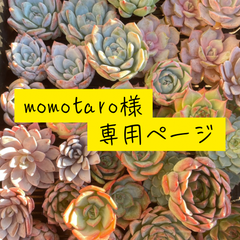 momotaro様　専用
