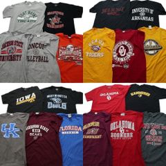 古着卸 まとめ売り カレッジ風 半袖Tシャツ 20枚セット (メンズ L ) チームロゴ 英文字プリント ワンポイント 中古 古着 NA6970