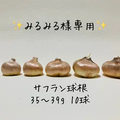 ✨みるみる様専用✨