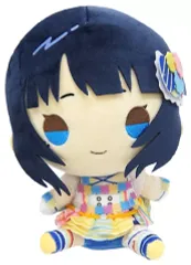 テラジャンボ　虹ヶ咲学園　寝そべり　ぬいぐるみ　 朝香果林さん　ラブライブ 517KJRwXgjL._AC_UF350,