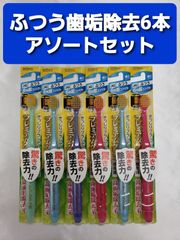 エビス　プレミアムケア高歯垢除去　超コンパクト　ふつう　はぶらし　歯ブラシ6本