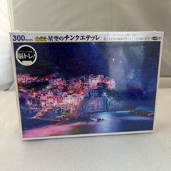 未開封】300ピース ジグソーパズル 星空のチンクエテッレ 26×38cm