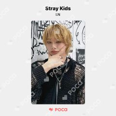 straykids アイエン スキズ トレカ Stray Kids World Tour dominATE SEOUL POP-UP CAFE SKZOO PIN BUTTON & COVER KEYRING SET 公式 トレカ