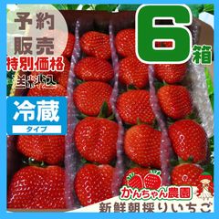 クール⑥箱大粒【予約販売】第4弾 新鮮朝採りいちごのサムネイル