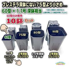 プレステラ深鉢にない75型より小さめ⇒1.7号スマートロング-ミニスリット深鉢60型-黒10鉢セット＊多肉植物・塊根植物コーデックス・アガベ・サボテン・盆栽・観葉・ハオルチア・アデニウム・パキポディウム・実生＠フラワーショップ江口
