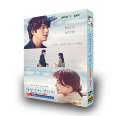 愛していると言ってくれ 日本語字幕あり 韓国ドラマ DVD 全話収録