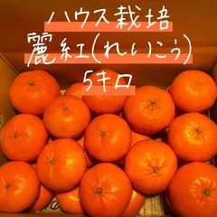 2024年最新】麗紅みかんの人気アイテム - メルカリ