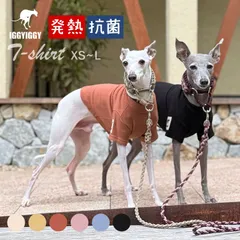 2026年最新】ushh イタグレの人気アイテム - メルカリ