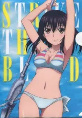 非売品】ストライク・ザ・ブラッド 姫柊雪菜 煌坂紗矢華 A3 クリアポスター